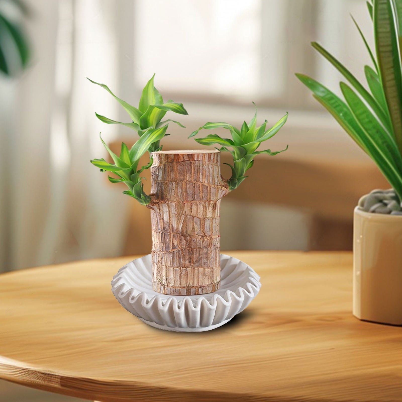 White Decorative Bowls - Home Decor